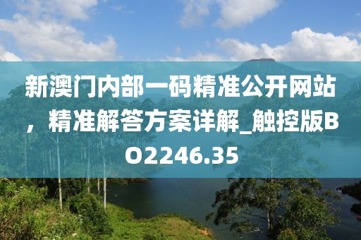 新澳门内部一码精准公开网站，精准解答方案详解_触控版BO2246.35