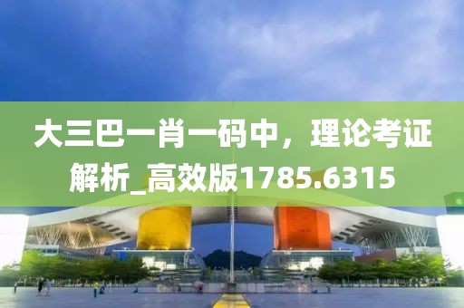 大三巴一肖一码中，理论考证解析_高效版1785.6315
