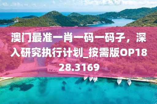 澳门最准一肖一码一码孑，深入研究执行计划_按需版OP1828.3169