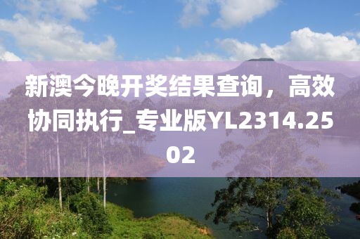 新澳今晚开奖结果查询，高效协同执行_专业版YL2314.2502