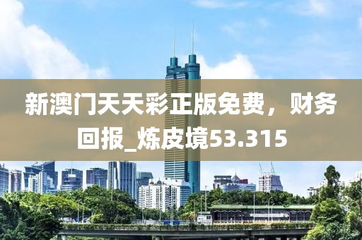新澳门天天彩正版免费，财务回报_炼皮境53.315