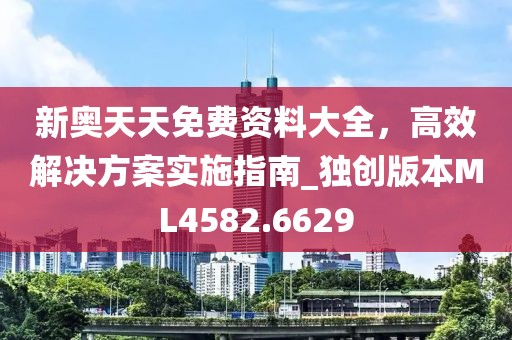 新奥天天免费资料大全，高效解决方案实施指南_独创版本ML4582.6629