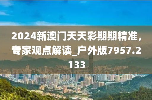 2024新澳门天天彩期期精准，专家观点解读_户外版7957.2133