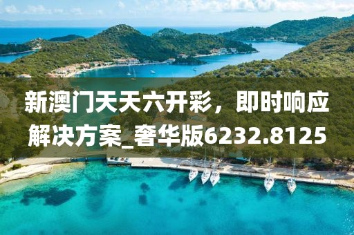 新澳门天天六开彩，即时响应解决方案_奢华版6232.8125