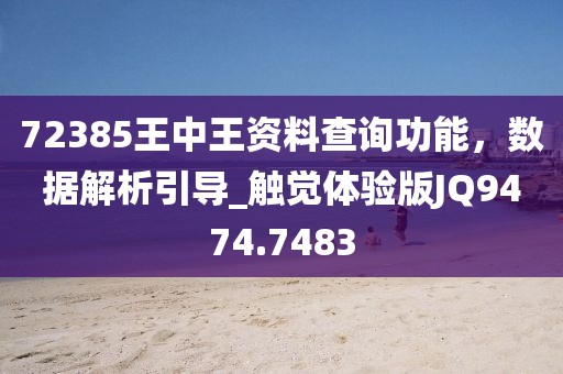 72385王中王资料查询功能，数据解析引导_触觉体验版JQ9474.7483