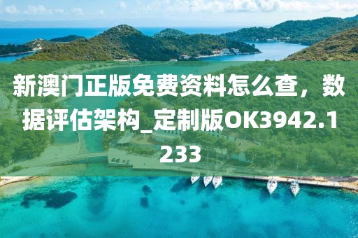 新澳门正版免费资料怎么查，数据评估架构_定制版OK3942.1233