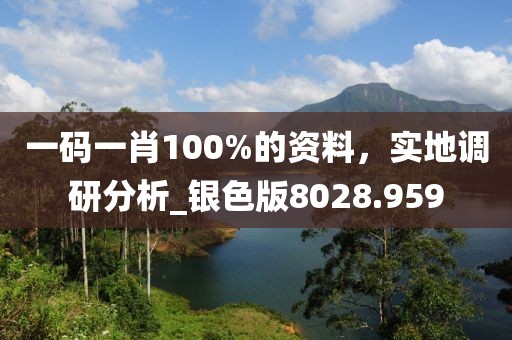 一码一肖100%的资料，实地调研分析_银色版8028.959