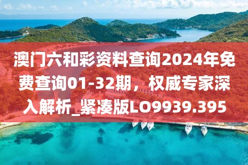 澳门六和彩资料查询2024年免费查询01-32期，权威专家深入解析_紧凑版LO9939.395