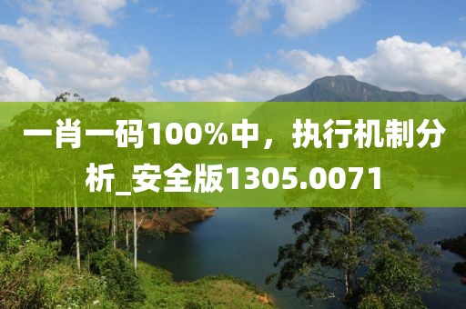 一肖一码100%中，执行机制分析_安全版1305.0071
