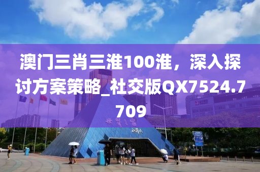 澳门三肖三淮100淮，深入探讨方案策略_社交版QX7524.7709