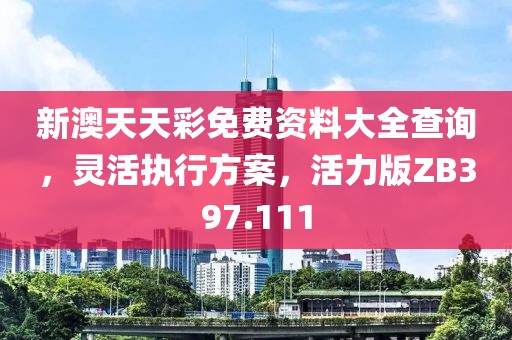 新澳天天彩免费资料大全查询，灵活执行方案，活力版ZB397.111