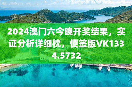 2024澳门六今晚开奖结果，实证分析详细枕，便签版VK1334.5732