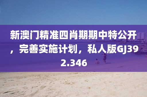 新澳门精准四肖期期中特公开，完善实施计划，私人版GJ392.346
