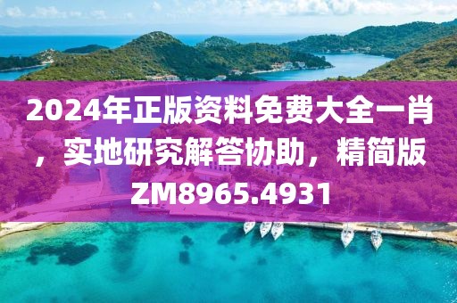 2024年正版资料免费大全一肖，实地研究解答协助，精简版ZM8965.4931