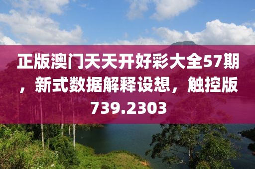 正版澳门天天开好彩大全57期，新式数据解释设想，触控版739.2303