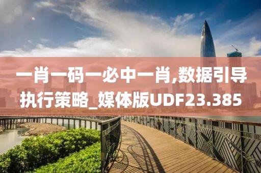 一肖一码一必中一肖,数据引导执行策略_媒体版UDF23.385