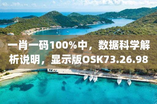 一肖一码100%中，数据科学解析说明，显示版OSK73.26.98