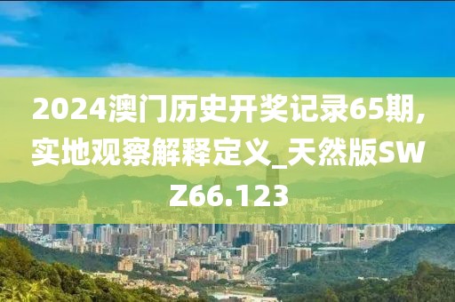 2024澳门历史开奖记录65期,实地观察解释定义_天然版SWZ66.123
