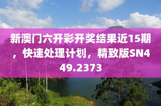 新澳门六开彩开奖结果近15期，快速处理计划，精致版SN449.2373
