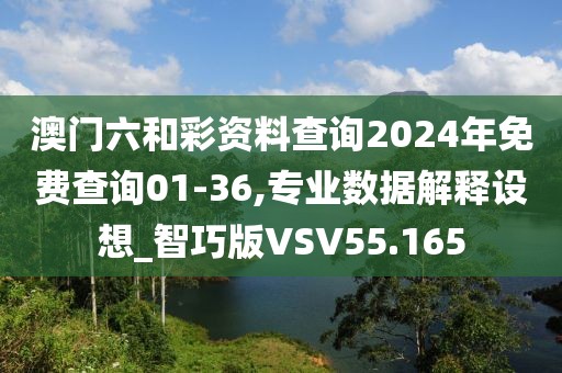 澳门六和彩资料查询2024年免费查询01-36,专业数据解释设想_智巧版VSV55.165