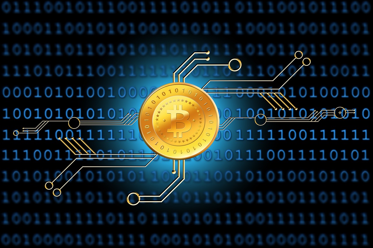 澳门六开奖结果2023开奖记录查询网站,兽医_互联版SYY85.828